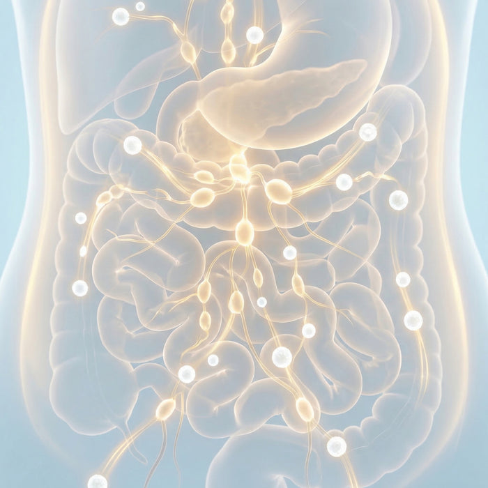 Weak Immunity, Inflammation, Slow Recovery