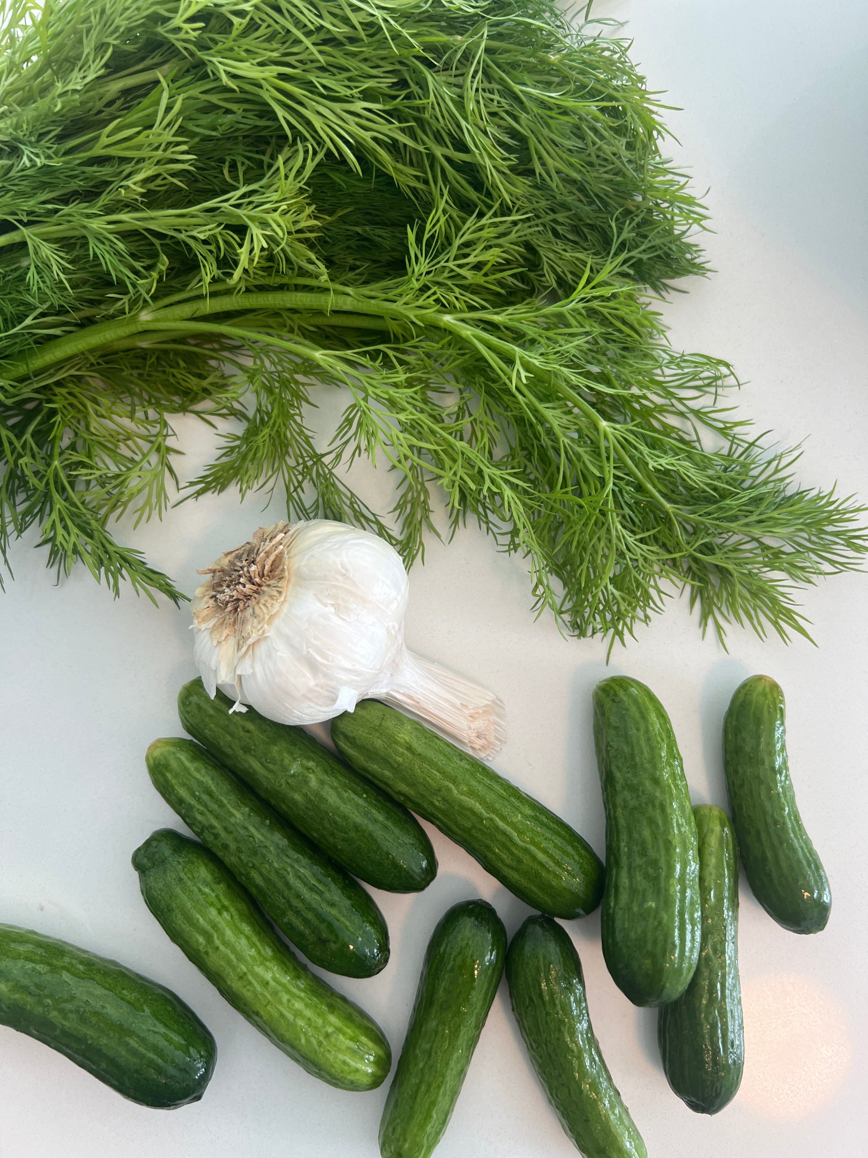 Never Buy Pickles Again: Crunchy Mini Cucumber Pickles by Sally