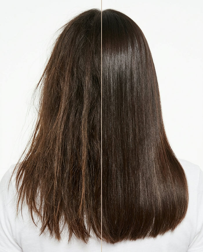 Dry, Damaged, Brittle Hair